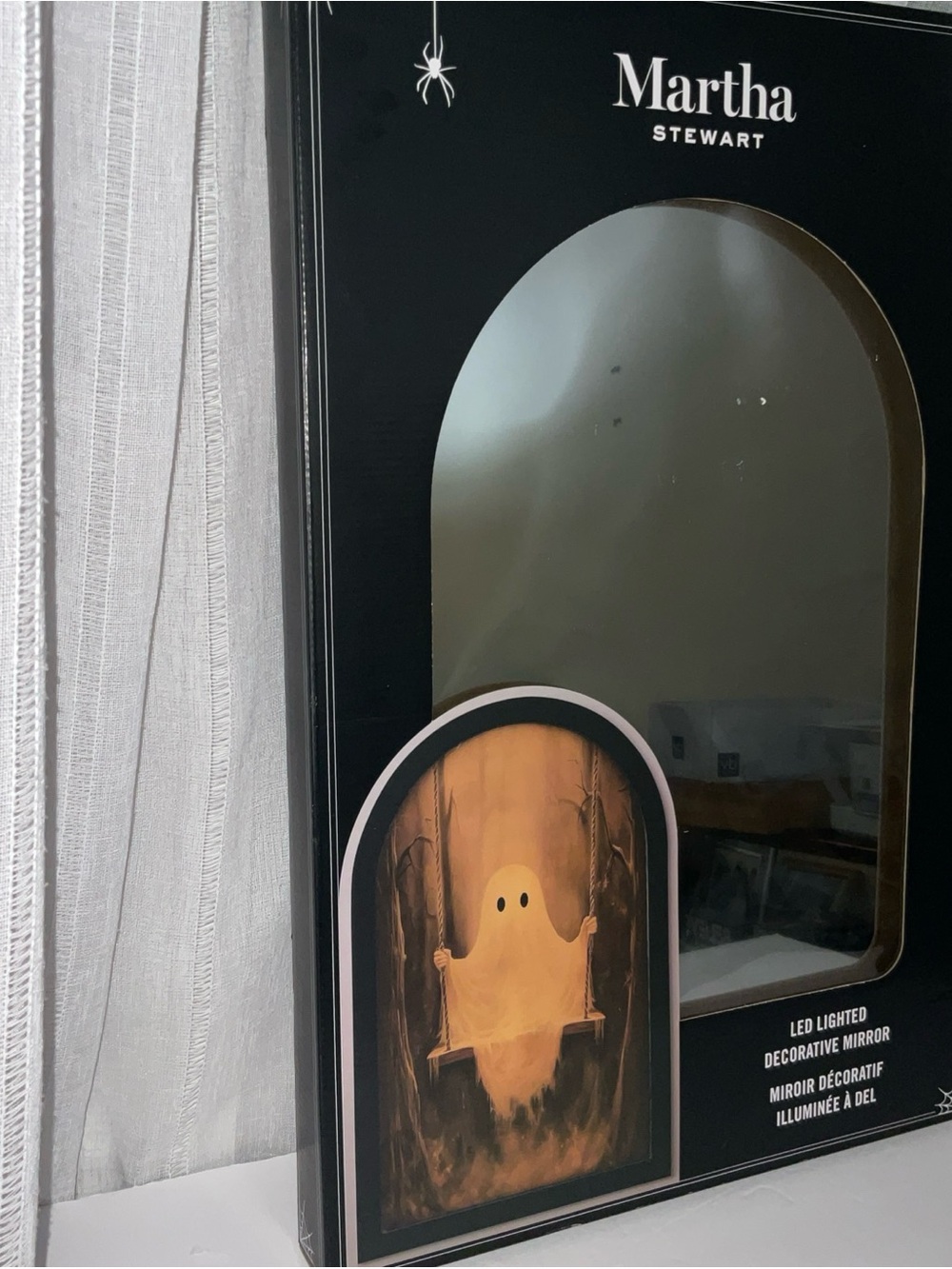 MARTHA STEWART 23x14” GHOST ON SWING MIRROR NEW